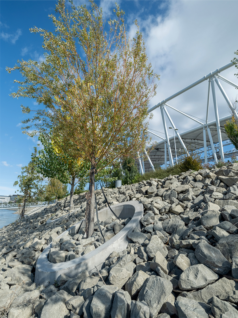 közpark atlétikai stadion park zöld tájépítészet