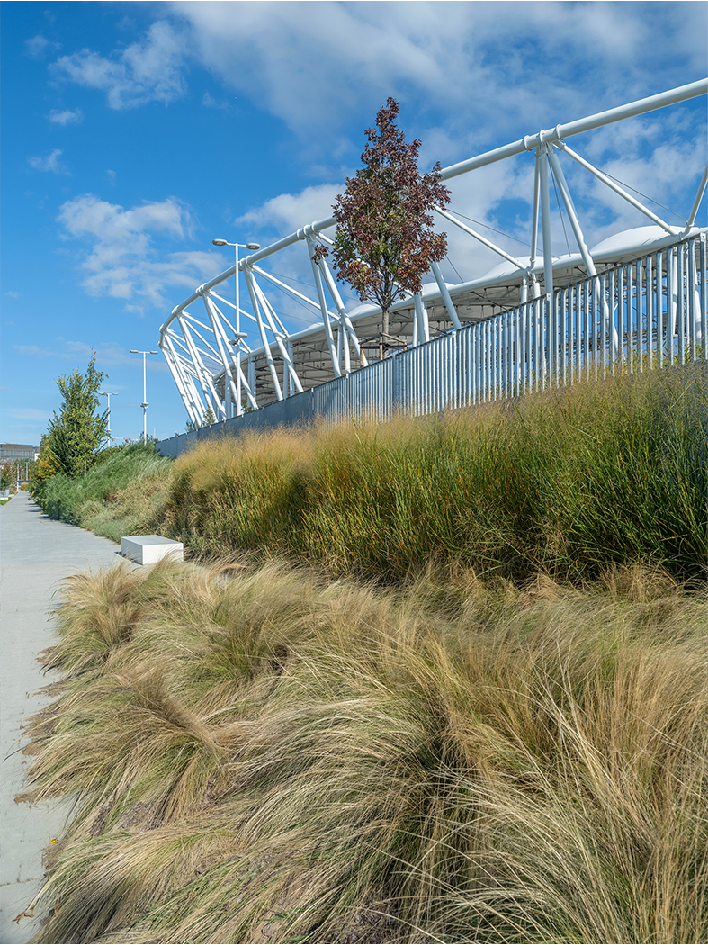 közpark atlétikai stadion park zöld tájépítészet