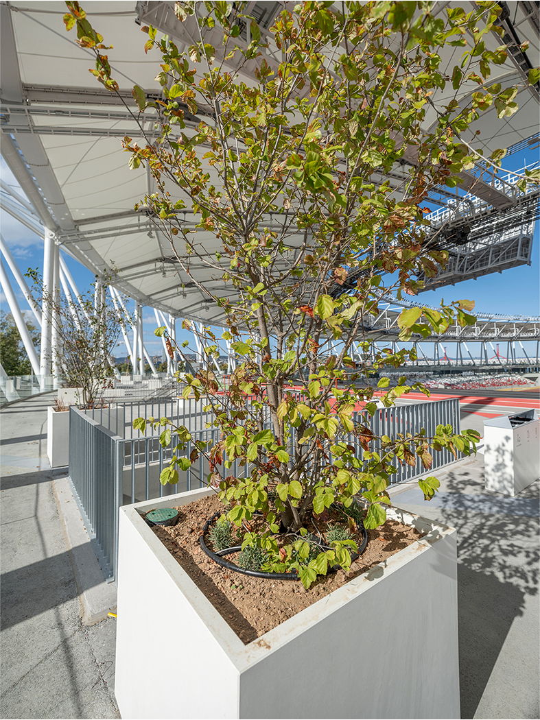 közpark atlétikai stadion park zöld tájépítészet