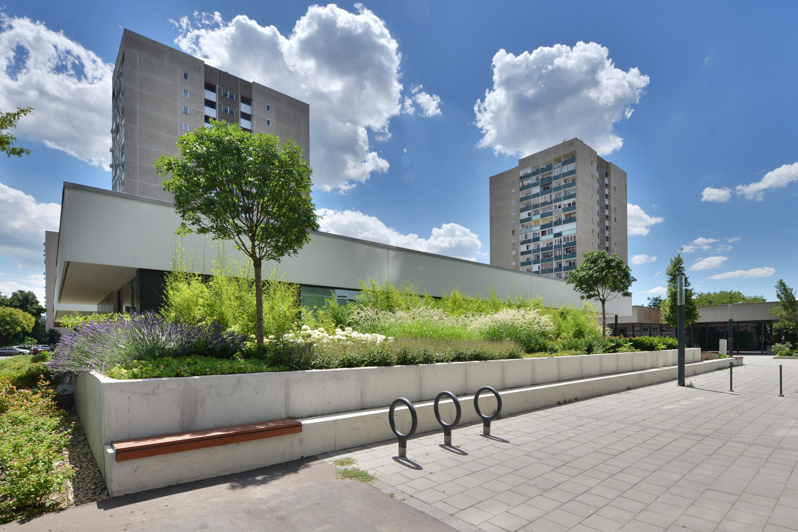 Csertő park </br>2019 – Budapest